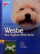 Westie. West Highland White Terrier