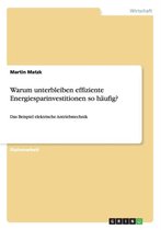 Warum Unterbleiben Effiziente Energiesparinvestitionen So Haufig?