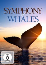 Symphony Of Whales