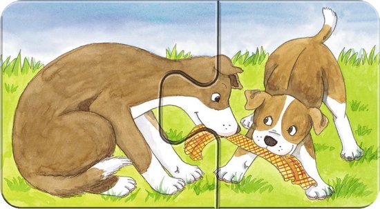 Twee bruine honden spelen met een mandje in een groene wei.