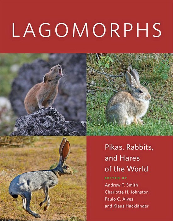Lagomorphs - cover