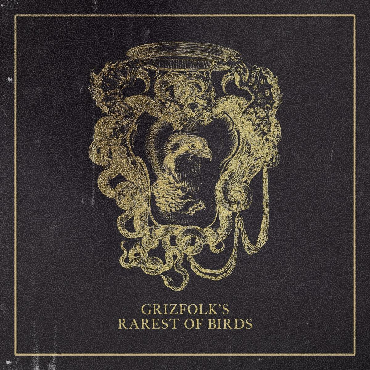 Rarest Of Birds