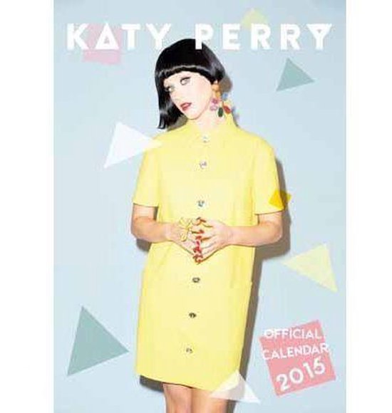 Katy Perry 2015 Calendar 9781780545394 Boeken