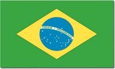 Vlag Brazilie 90 x 150 cm feestartikelen - Brazilie landen thema supporter/fan decoratie artikelen
