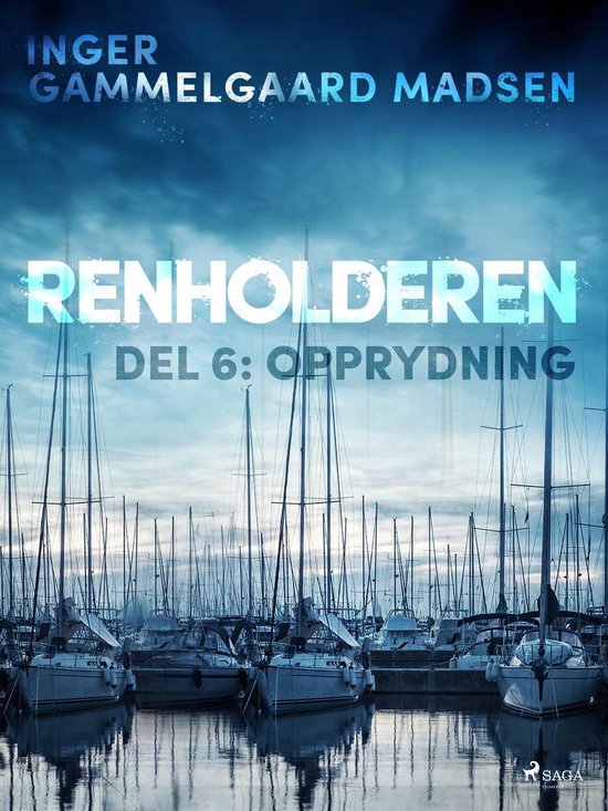 Renholderen 6 - Renholderen 6: Opprydning - cover