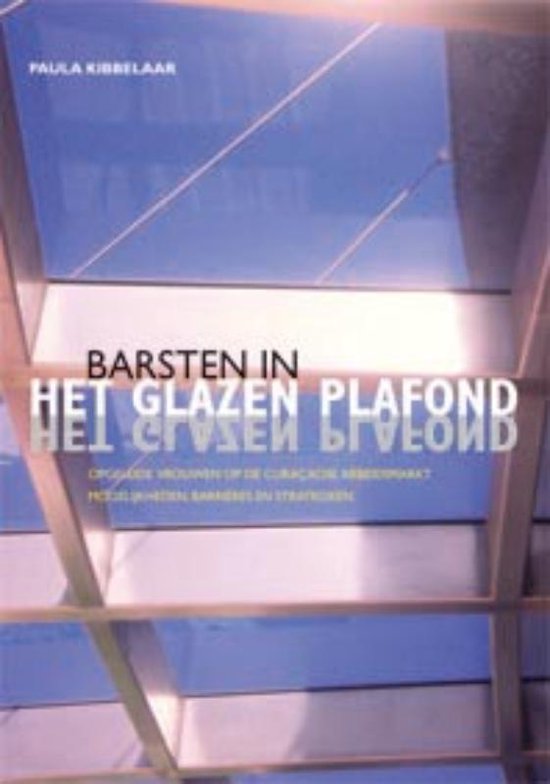 Barsten In Het Glazen Plafond - P. Kibbelaar | Northernlights300.org