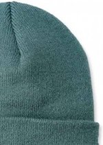 Carhartt Muts Acrylic Watch muts groen blauw - Beanie