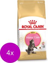 Royal Canin Fbn Kitten Maine Coon - Kattenvoer - 4 x 4 kg