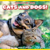 Animals in My World - Cats and Dogs!