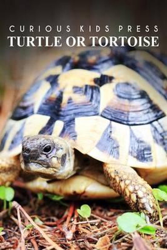 Turtle Or Tortoise - Curious Kids Press - cover