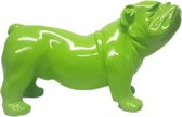 Engelse bulldog - Decoratief staand beeld - Decoratie - Lime groen