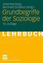 Grundbegriffe Der Soziologie