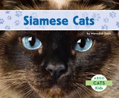 Cats - Siamese Cats