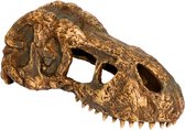 Exo Terra KryjĂłwka Czaszka tyranozaura, maĹ‚a