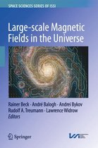 Large-scale Magnetic Fields in the Universe