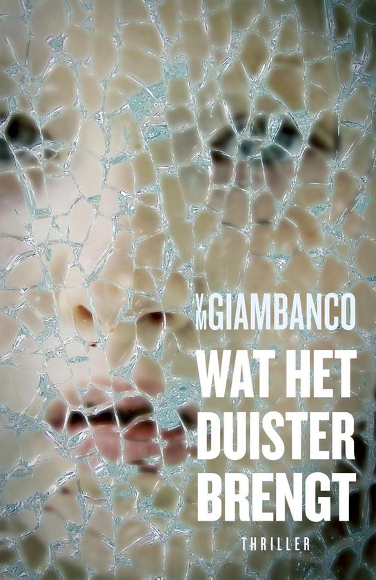 Cover van het boek 'Wat het duister brengt'