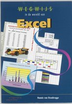 Wegwijs In De Wereld Van Excel