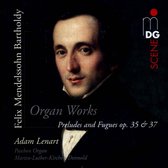 Various Artists - Organ Works (Super Audio CD)