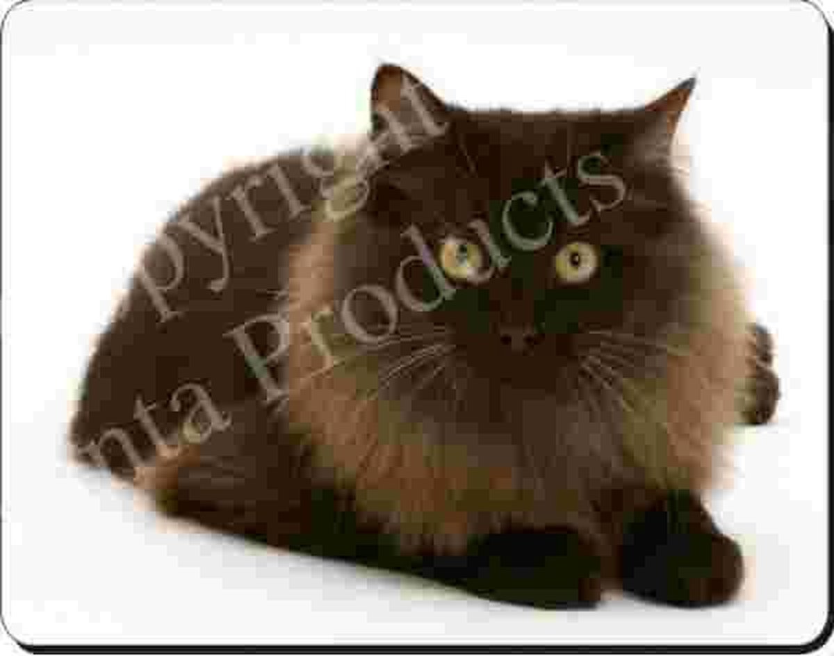 Langharige Bruine Poes Muismat