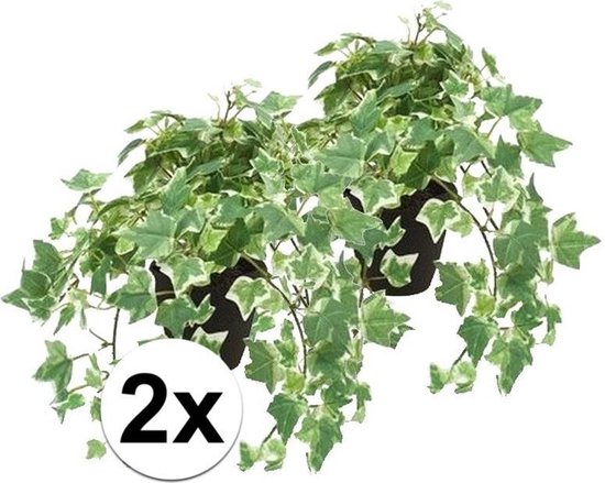 2x Plante artificielle lierre vert / blanc en pot 30 cm - Plante  d'intérieur vert /... | bol.com