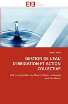 GESTION DE L'EAU D'IRRIGATION ET ACTION COLLECTIVE