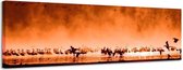 Oranje vogels - Canvas Schilderij Panorama 118 x 36 cm