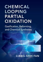 Cambridge Series in Chemical Engineering - Chemical Looping Partial Oxidation