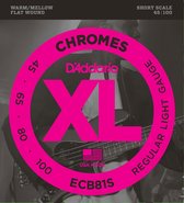 D'Addario ECB81SL Chromes Bass Regular Light 45-10 Super Longscale