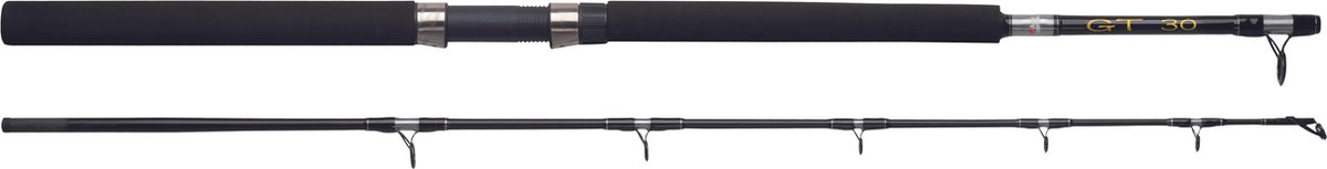 Abu Garcia GT 602 - Boothengel - 1.80m - 30lb
