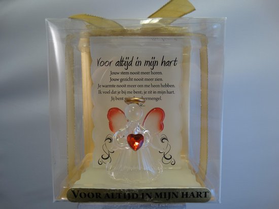 Voor altijd in mijn hart | bol.com