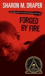 Hazelwood High Trilogy - Forged by Fire