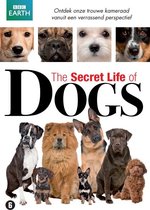 BBC Earth - The Secret Life Of Dogs