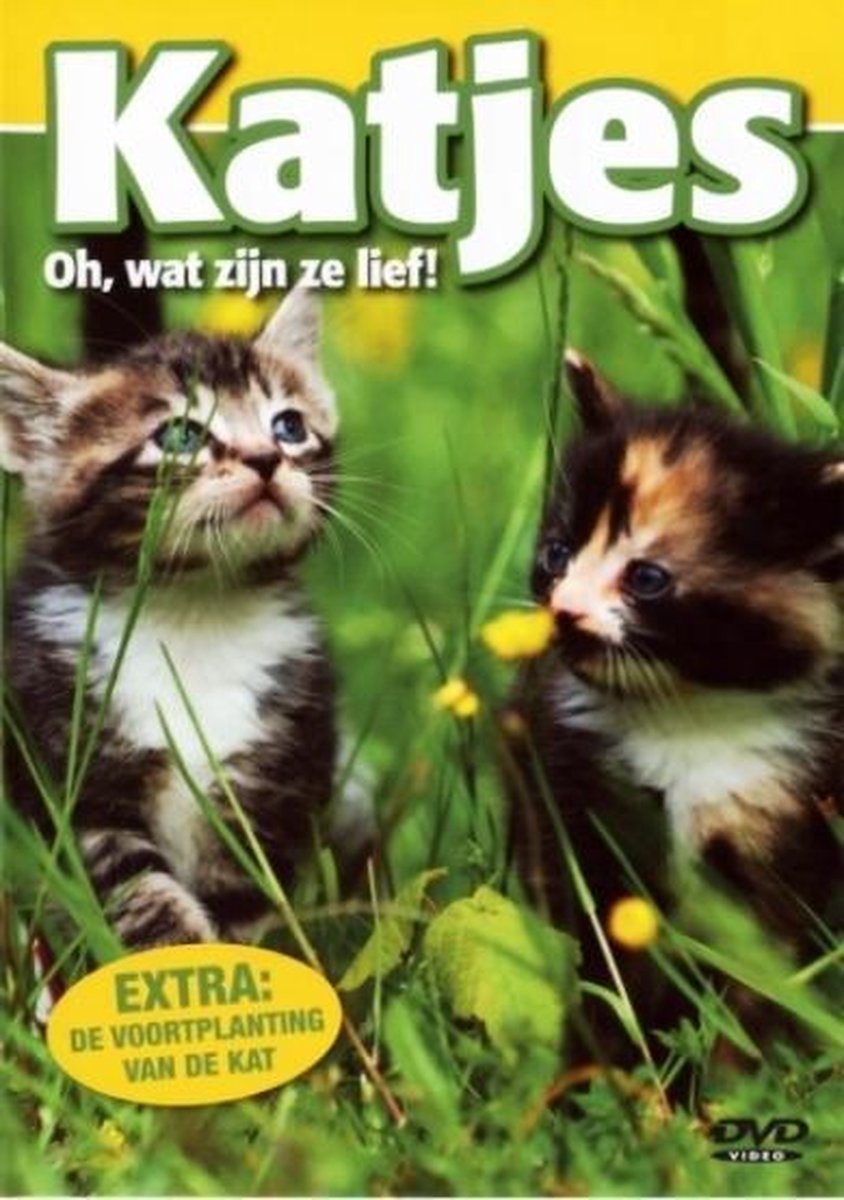 Katjes....Oh Wat Zijn Ze Lief!