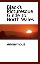 Black's Picturesque Guide to North Wales