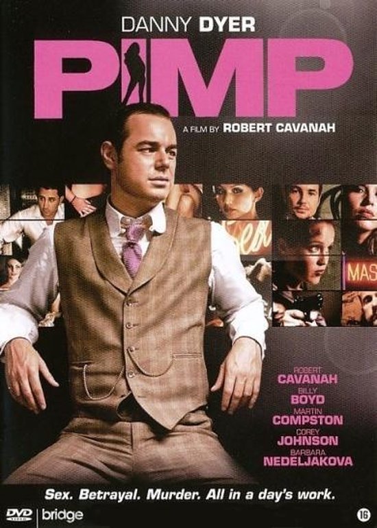 Cover van de film 'Pimp'