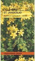 Oranjebandzaden -  St. Janskruid