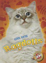 Ragdolls