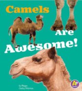 Camels Are Awesome!