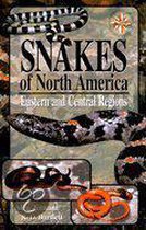 A Field Guide to Snakes of North America