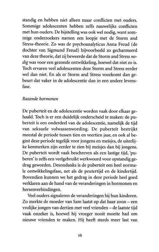 Het puberende brein