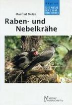 Raben- und Nebelkrähe