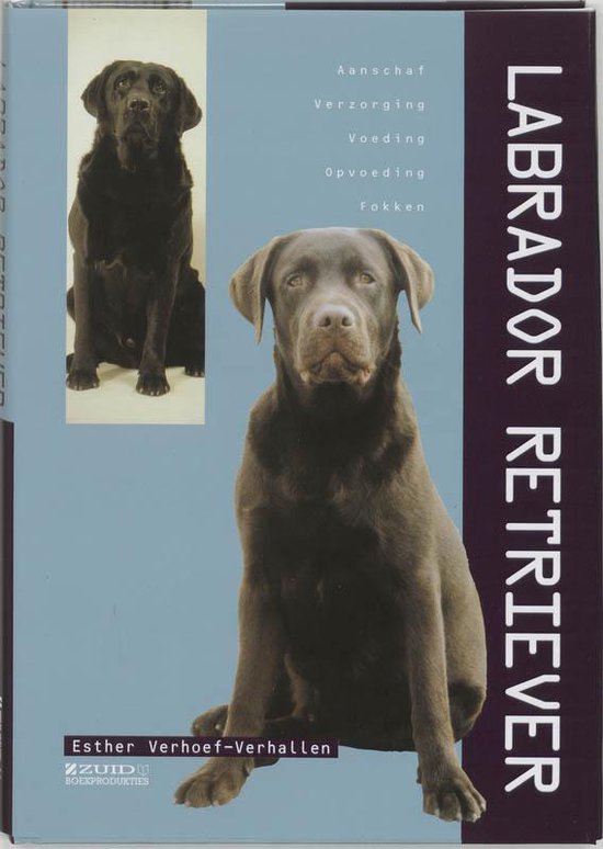 Labrador Retriever - Esther Verhoef | Respetofundacion.org