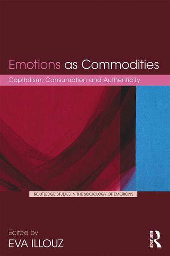 Routledge Studies in the Sociology of Emotions - Emotions as ... - cover