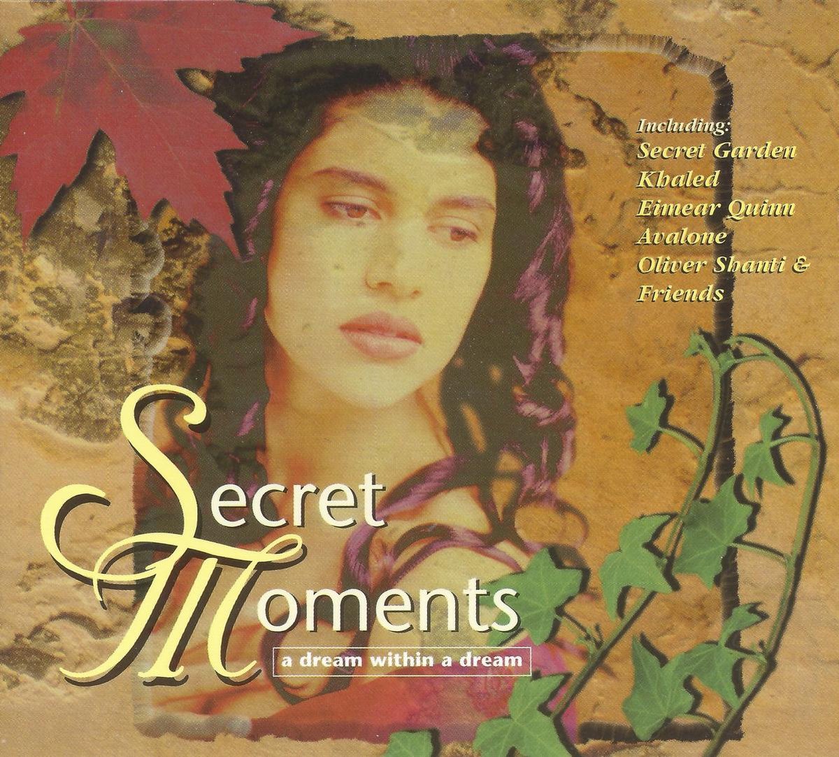 Secret Moments A Dream