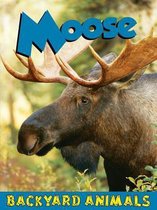 Moose