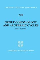 Cambridge Tracts in Mathematics 204 - Group Cohomology and Algebraic Cycles