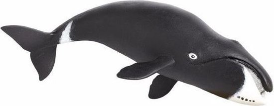 Ontmoedigd zijn Interactie Halloween Plastic speelgoed figuur Groenlandse walvis 21 cm | bol.com