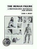 The Human Figure