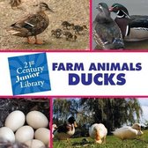 Farm Animals Ducks