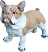 Vrolijke Beelden Franse Bulldog - 40 Cm - Wit